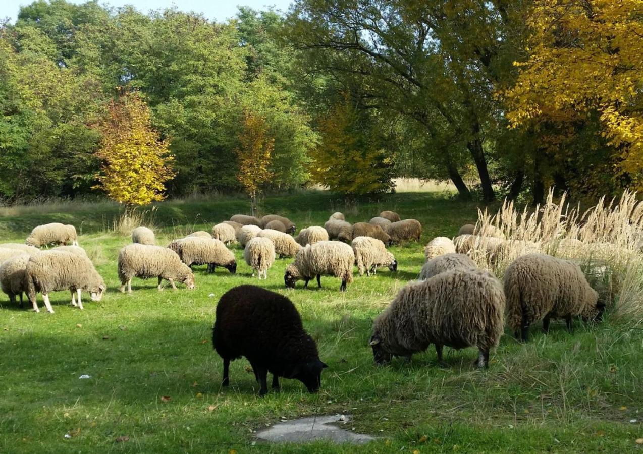 Gut Am See Görlitz Eksteriør billede